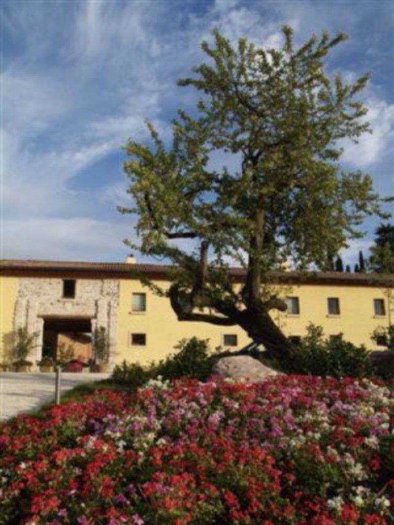 Relais Corte Cavalli Ponti sul Mincio Zewnętrze zdjęcie